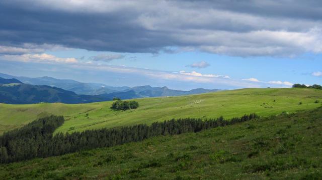 Ruta cercana